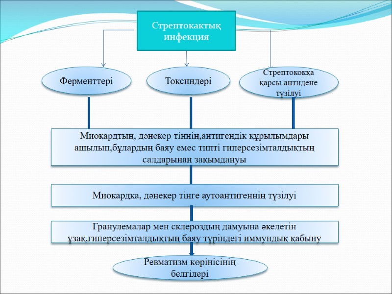 Стрептокактық инфекция Ферменттері Токсиндері Стрептококқа қарсы антидене түзілуі Миокардтың, дәнекер тіннің,антигендік құрылымдары ашылып,бұлардың баяу